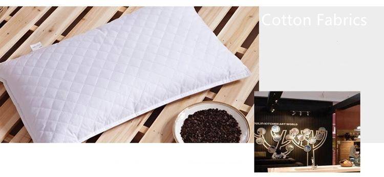 3238459390_954877058_副本