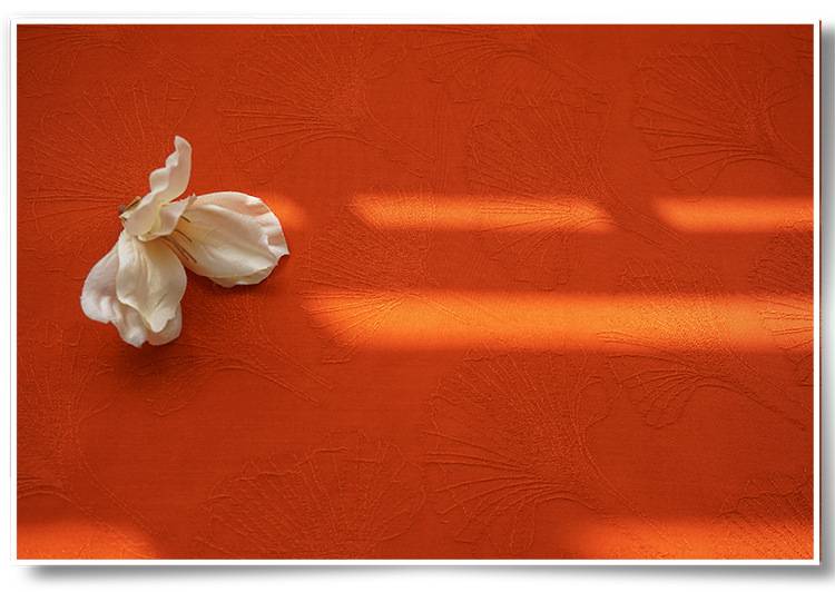 10822232528_555901486