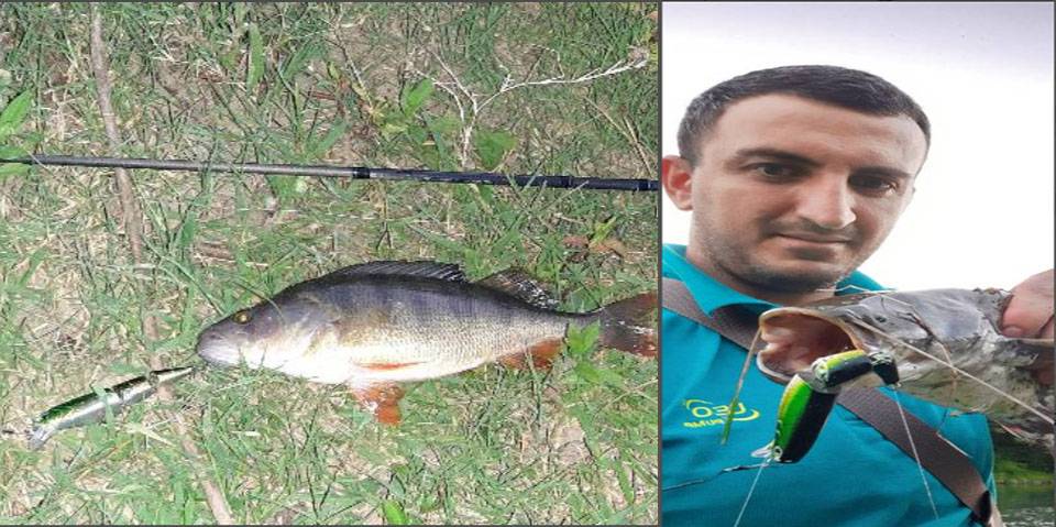 QQ图片20200824084615