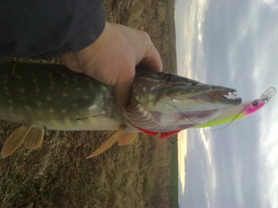 UTB8M6q3rXfFXKJk43Otq6xIPFXaO