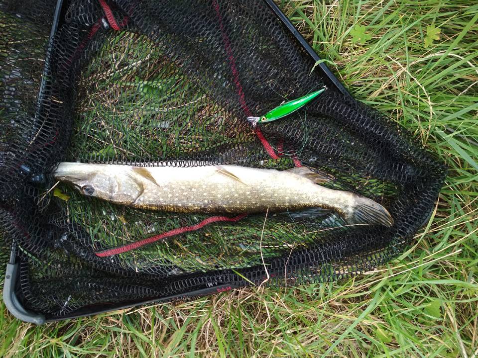 UTB8J4jskFfFXKJk43Otq6xIPFXal