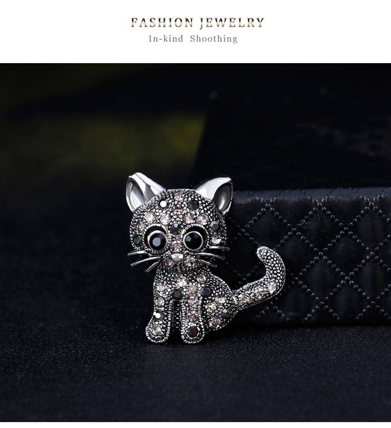 4304321939_1968167221