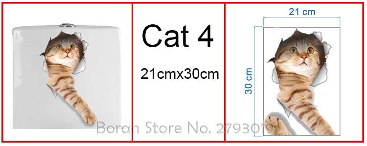 cat 4 -1