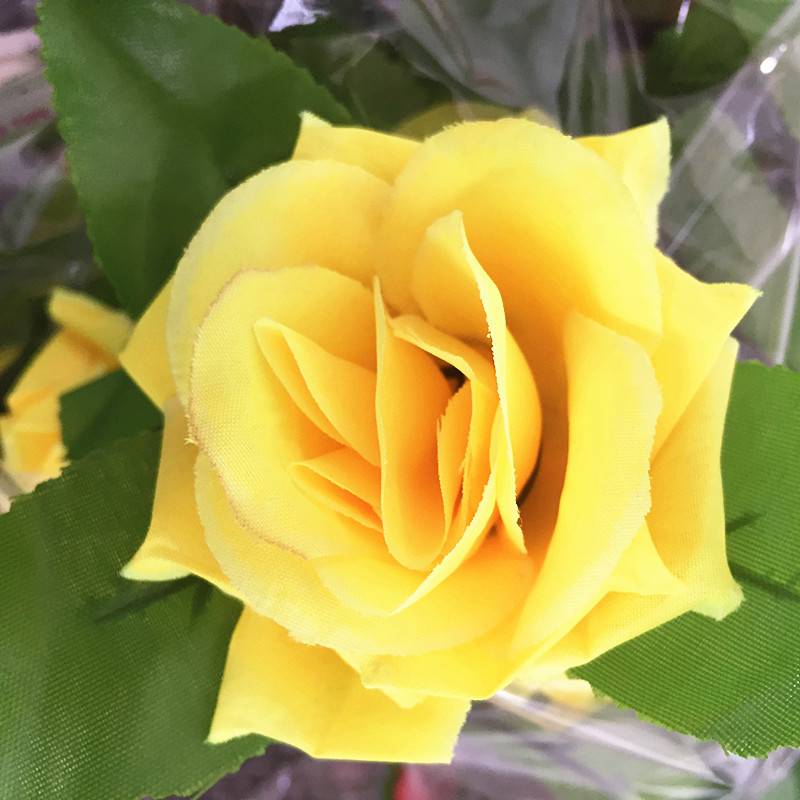 4290918680_466098134