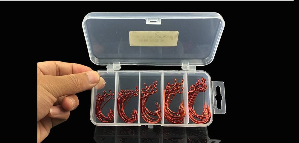 HTB1kFL0XrsTMeJjSszhq6AGCFXaH