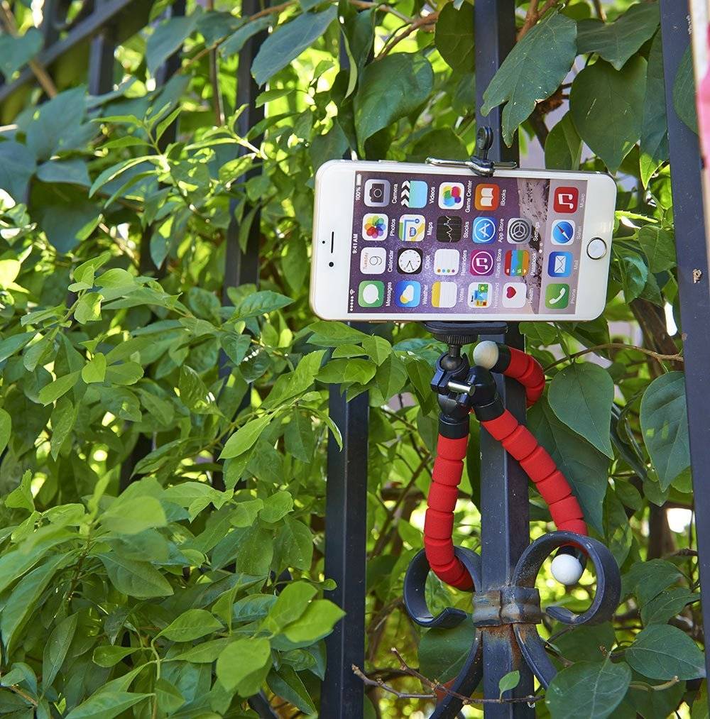 71reY1CPcBL._SL1013_