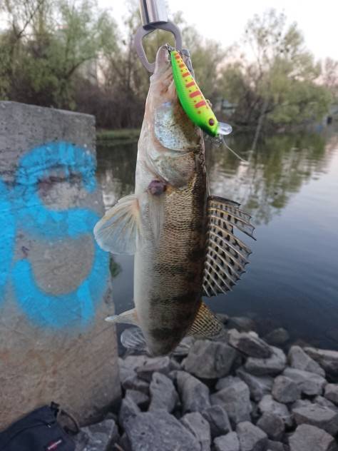 Ud833a7396c2d4f469329ed5a19949bf9d