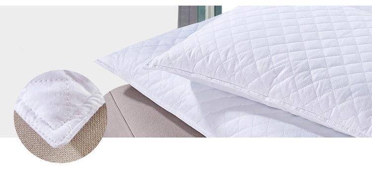 3238453529_954877058_副本