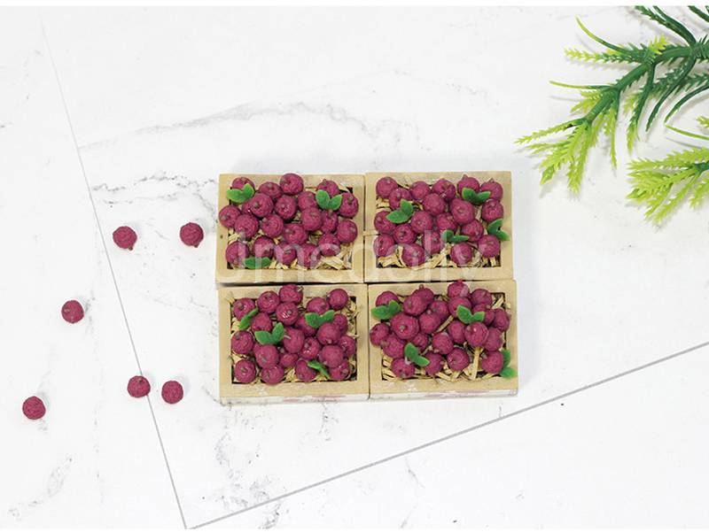 23690597250_1793199687