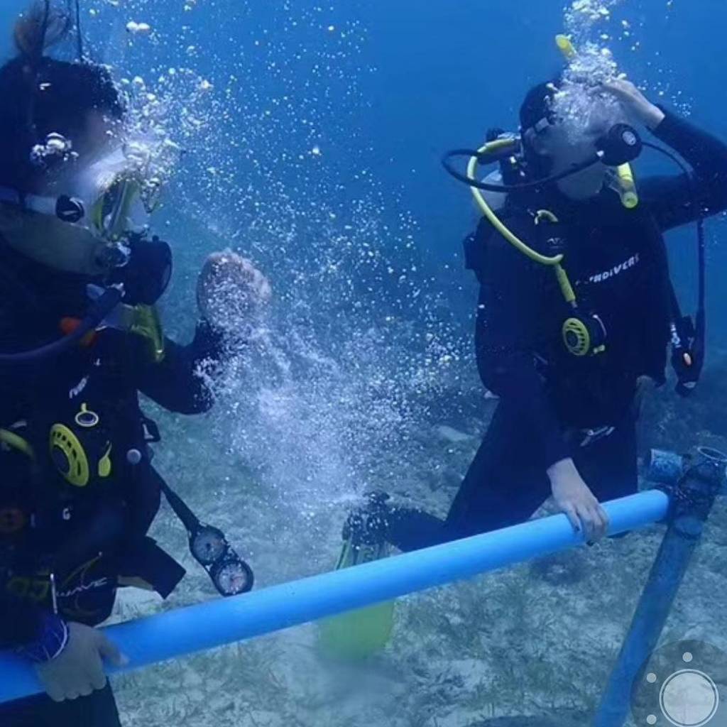 3mm Neoprene Long Sleeve Back Zip Diving Snorkeling Surfing Full Body Wetsuits Snorkeling Scuba One Piece Swimsuit Wet Suits