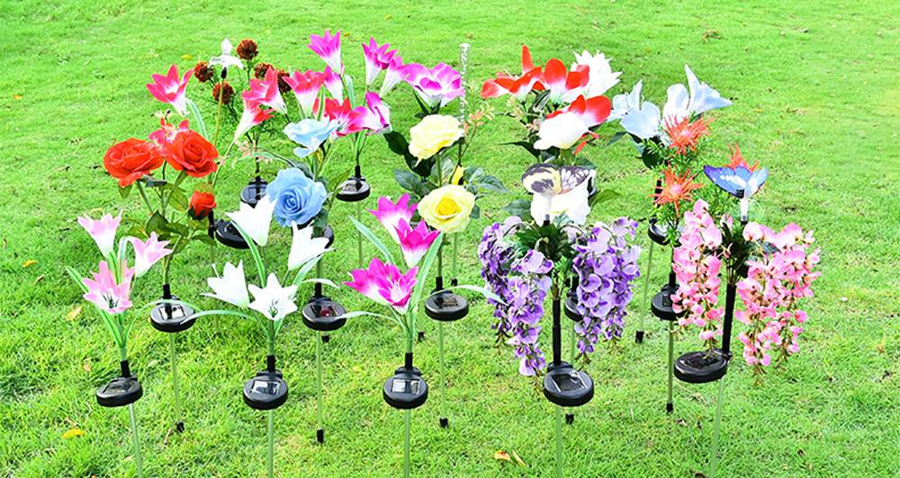 12259545691_1341466431