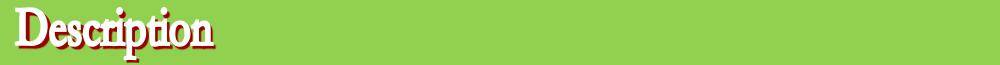 Description1